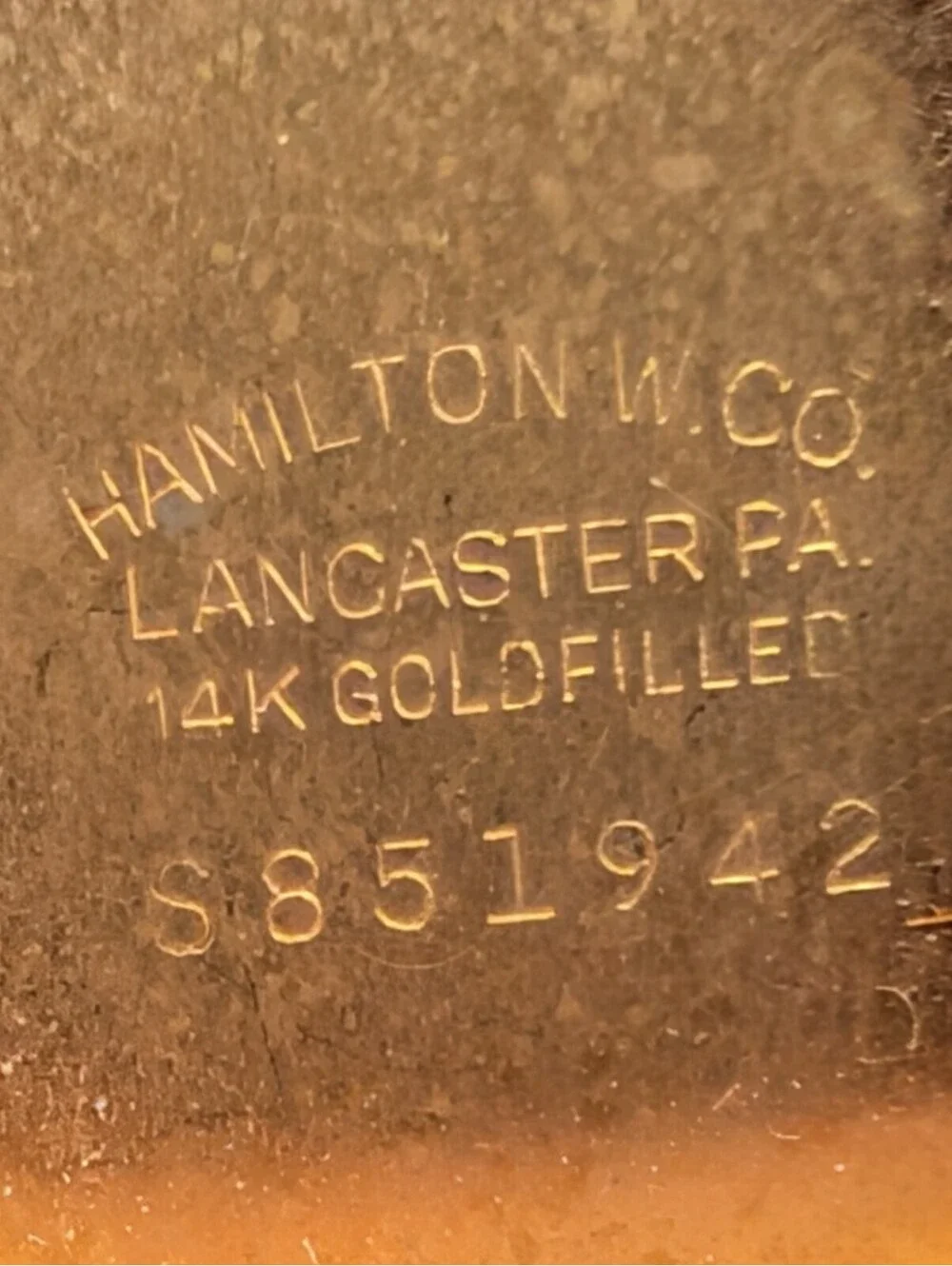 Hamilton please see